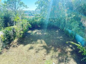 an overhead view of a garden with trees andgrass at La parenthèse Pictave - centre-ville de Poitiers in Biard