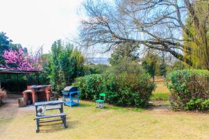 莫里维尔The Big Five Bed and breakfast的相册照片