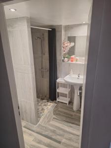 a bathroom with a shower and a sink at Chez Loulou du Linas - Bugarach in Bugarach +23 photos