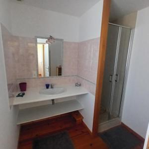ein Badezimmer mit Waschbecken und Dusche in der Unterkunft Chambre des bords de Siame in Gratot