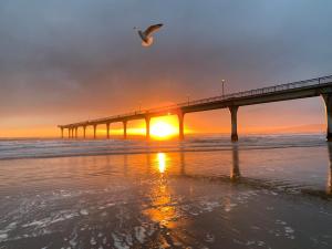 a bird flying over the ocean near a pier at Serenity by the Sea: Coastal Escape1 bed 1 bath in Christchurch