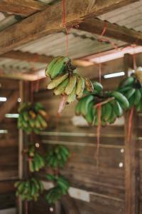 Fotografie z fotogalerie ubytování La Vieille Cheminée, Tropical Farm & Eco-Lodges v destinaci Chamarel