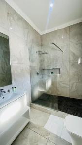 a bathroom with a shower and a sink and a toilet at Zet On 9TH Avenue in Durban +46 photos