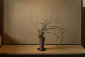 Foto sihtkohas Tamba-sasayama asuva majutusasutuse 篠山城下町ゲストハウス inosica galeriist