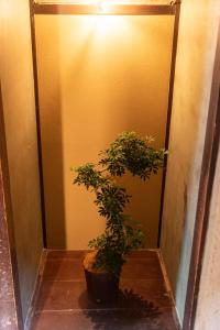 Foto sihtkohas Tamba-sasayama asuva majutusasutuse 篠山城下町ゲストハウス inosica galeriist