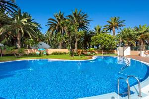 a large swimming pool with palm trees in the background at Sol Puerto de la Cruz Tenerife in Puerto de la Cruz