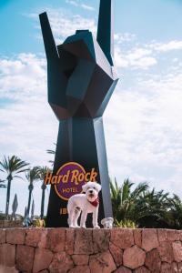 a dog standing in front of a hard rock hotel sign at Hard Rock Hotel Ibiza in Playa d'en Bossa