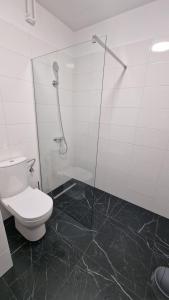 Billede fra billedgalleriet på R&B Apartamenty i Wąbrzeźno