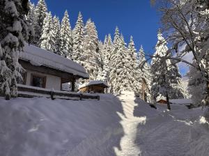 Fleissner Hütte að vetri til