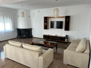 a living room with two couches and a tv at Villa Ellania Milos in Adamantas