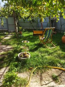 Ảnh trong thư viện ảnh của Tsivtskaro ở Surami