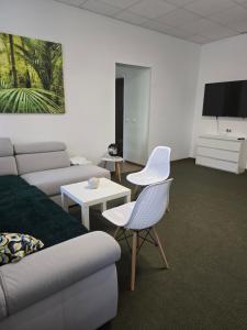 a living room with a couch and chairs and a tv at Hostel Krośnieńska 12 in Zielona Góra