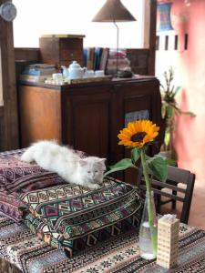 Postel nebo postele na pokoji v ubytování Nhiên Farm Homestay