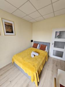 Posteľ alebo postele v izbe v ubytovaní Rynek Market Square Tectum Apartments