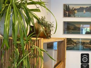 Φωτογραφία από το άλμπουμ του Maison Souche σε Anstaing