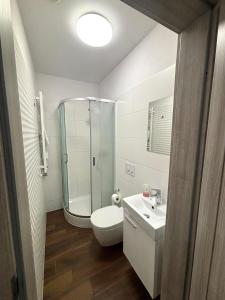 a bathroom with a shower and a toilet and a sink at Apartament Residence Nysa in Nysa