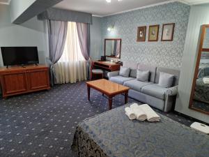 TV a/nebo společenská místnost v ubytování Danube Hotel & Spa
