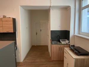 Kuchyň nebo kuchyňský kout v ubytování Black Style ROOMS Moravske namesti