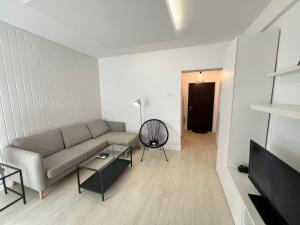 TV a/nebo společenská místnost v ubytování LazyNest - Charming Apartment near Cismigiu Park