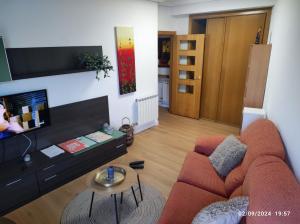 TV a/nebo společenská místnost v ubytování El paseo del Duero