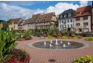 a courtyard with a fountain in front of buildings at Le doux sapin in Lembach