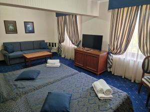 TV a/nebo společenská místnost v ubytování Danube Hotel & Spa