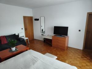 a living room with a couch and a tv at Apartma Marko Rogaška in Rogaška Slatina