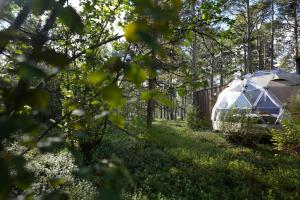 Zahrada ubytování GLØD Aurora Canvas Dome