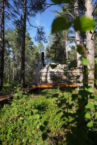 Příroda nedaleko luxury tent
