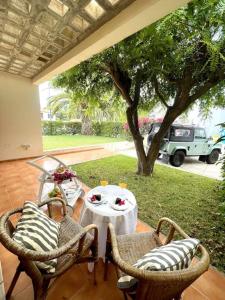eine Terrasse mit Tisch und Stühlen und einem Baum in der Unterkunft Casa da Palmeira Porto Santo in Vila Baleira