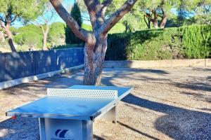un banco azul sentado junto a un árbol en Family house - quiet - common pool - Fréjus, en Fréjus