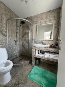 a bathroom with a shower and a toilet and a sink at Luxus Cluj Airport Apartments in Cluj-Napoca