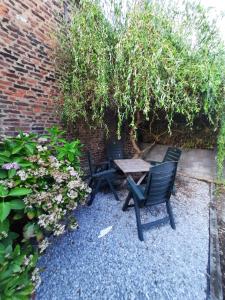 Ein Garten an der Unterkunft Gîte de l'Espinette