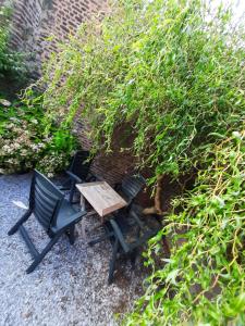 Ein Garten an der Unterkunft Gîte de l'Espinette
