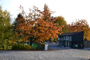 Afbeelding uit fotogalerij van Hotel Lahaye in Valkenburg