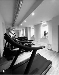 une rangée de tapis roulants dans une salle de sport dans l'établissement The Ambassador Apartment by Palazzo Monga, à Vérone 11 autres photos