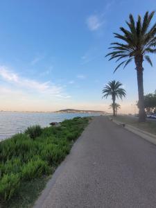 a road next to the water with palm trees at La tête dans les nuages in Balaruc-les-Bains