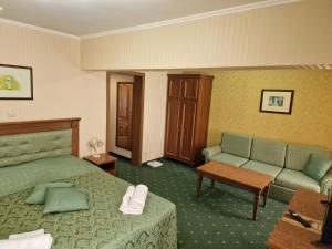 Posezení v ubytování Danube Hotel & Spa