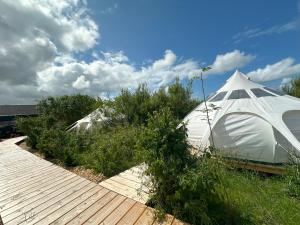 a white tent sitting on top of a wooden deck at Agger Glamping - Fyret in Vestervig
