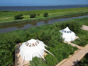 two white tents in a field next to a river at Agger Glamping - Fyret in Vestervig