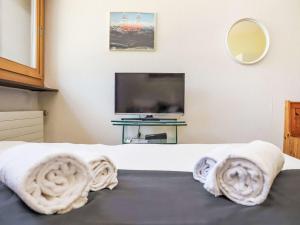 TV a/nebo společenská místnost v ubytování Apartment Rosablanche E36 by Interhome