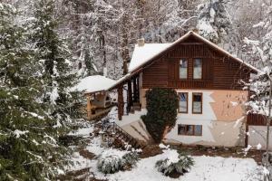 a house covered in snow in the woods at Cabana Paulino in Suceviţa