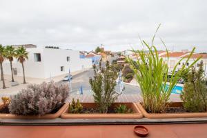 a row of plants on a balcony with a street at Villa Center - Alojamento Local in Grândola