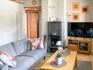 TV a/nebo společenská místnost v ubytování Holiday Home Levin rinnelinna a8 by Interhome