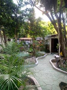 Galeriebild der Unterkunft Conjunto Sol Roots in Pipa + 32 Fotos