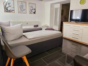 a bedroom with a bed and a chair and a television at Gästeappartement Viktoria in Sinsheim