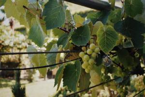 Billede fra billedgalleriet på Nature's Getaway i Einigen