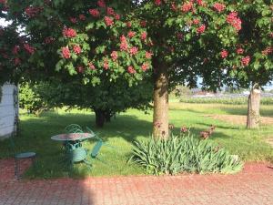Aed väljaspool majutusasutust B&B Domaine En Trembley