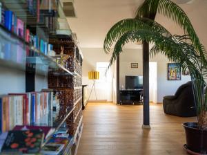 Knihovna v apartmánu