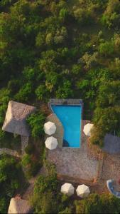 una vista sulla piscina di una casa di Enchipai Mara Camp a Musiara Campsite Altre 48 foto